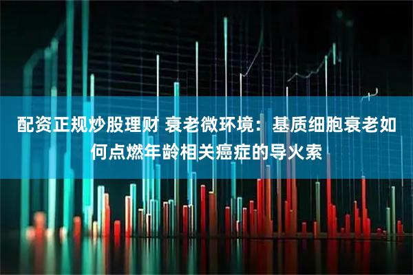 配资正规炒股理财 衰老微环境：基质细胞衰老如何点燃年龄相关癌症的导火索