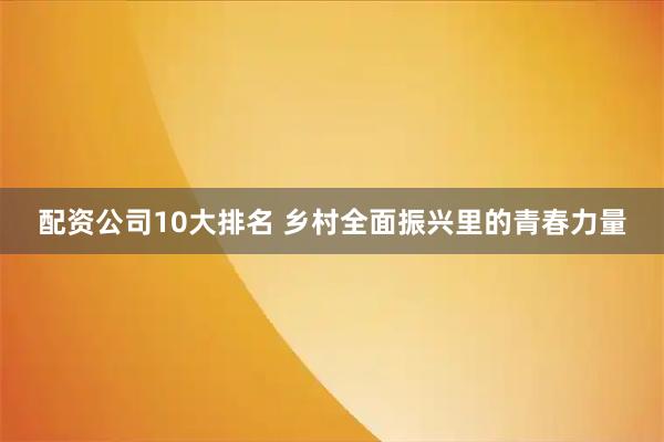 配资公司10大排名 乡村全面振兴里的青春力量